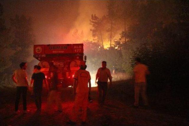 Bolu'da Orman Yangını(2)