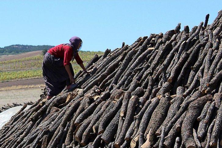 (özel Haber) Başkent’in Yanı Başında Herkes Bayram Yaparken Mangal Kömürü İçin Ter Döküyorlar G1