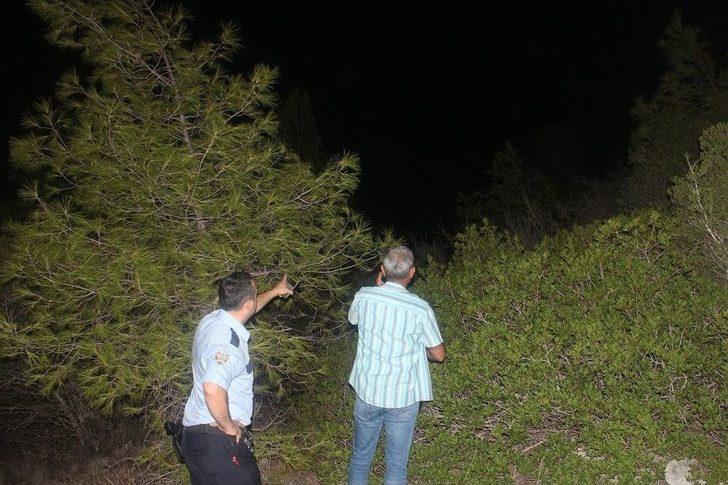 Ormanda Kaybolan Rus Anne Ve Kızı 8 Saat Sonra Bulunabildi G3