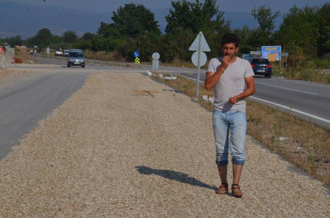 &Ccedil;ifte Değil Yolda Kavrulmuş &Ccedil;ekirdek