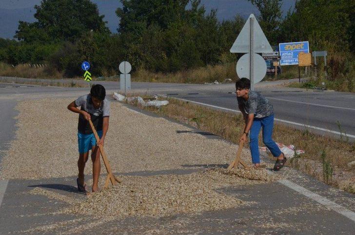 Çifte Değil Yolda Kavrulmuş Çekirdek G2