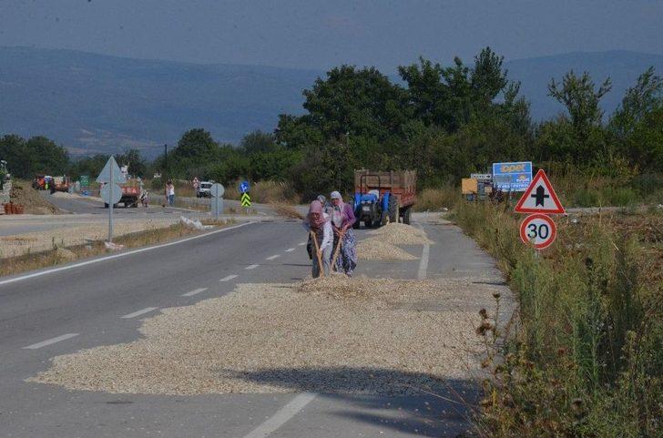 Çifte Değil Yolda Kavrulmuş Çekirdek G3