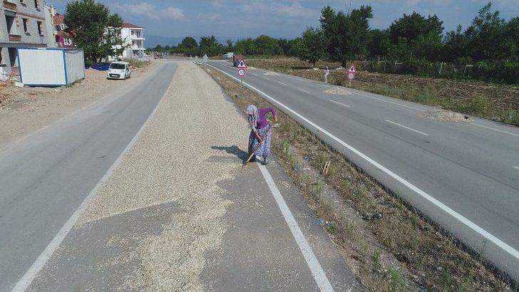 Çifte Değil Yolda Kavrulmuş Çekirdek G5