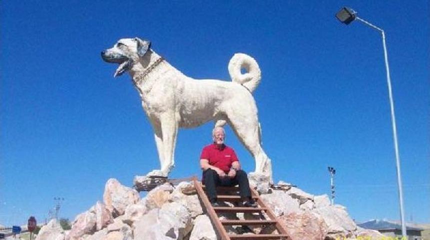 Milli Köpek Kangal Görev Başında