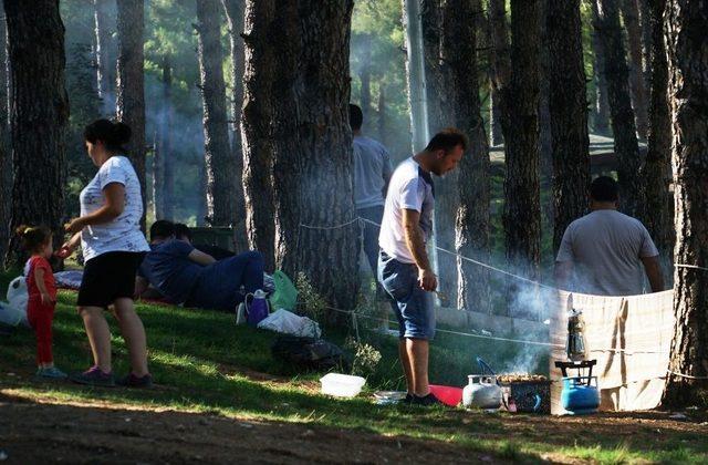 Denizlililer Pikniğe Akın Etti