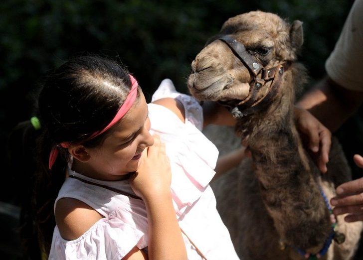 ’zeyno’ya Büyük İlgi G4