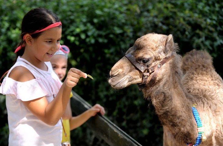 ’zeyno’ya Büyük İlgi G5