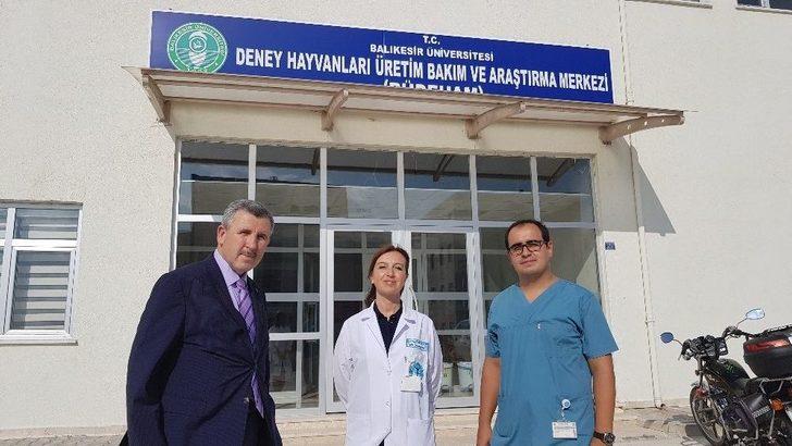 Sağlık Kobay Fareler İle Gelecek G3