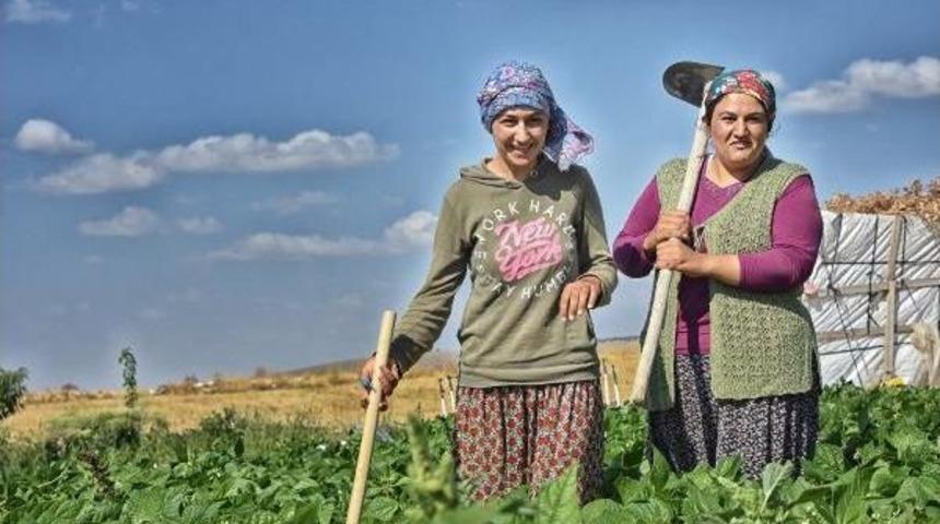 &Uuml;niversiteli Kız Kardeşler Tatilde Tarlada