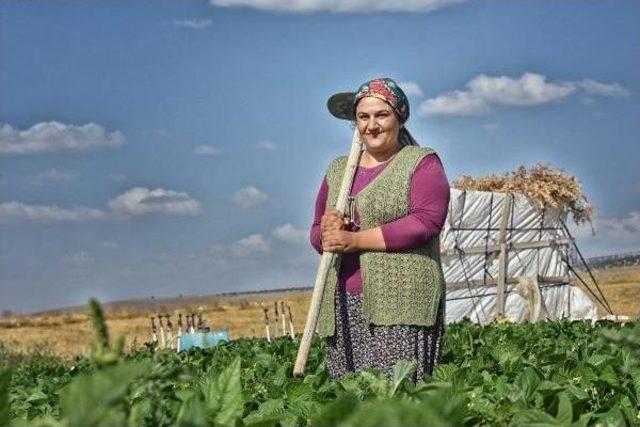 Üniversiteli Kız Kardeşler Tatilde Tarlada