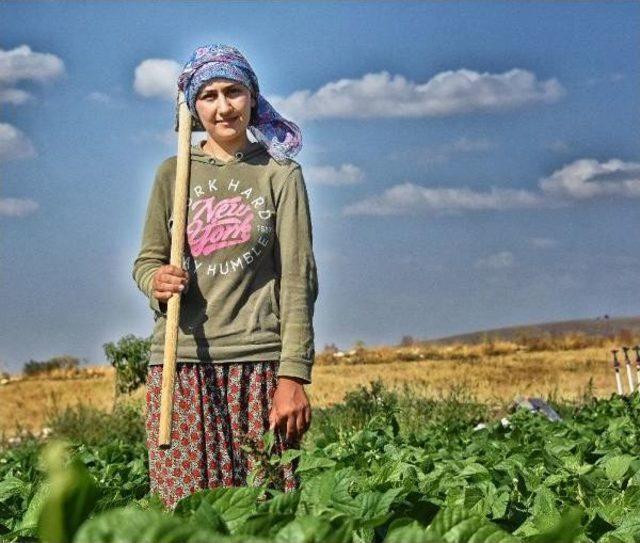 Üniversiteli Kız Kardeşler Tatilde Tarlada