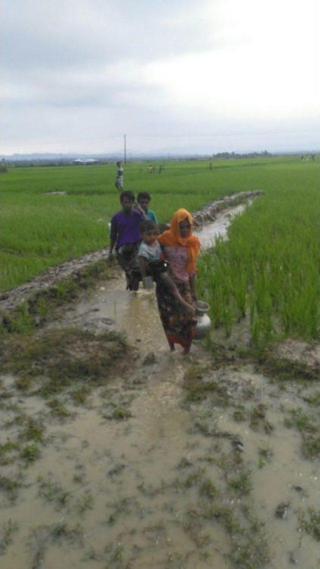 Sınırı Geçmeyi Başaran Arakanlı Müslümanlara Türk Yardım Kuruluşlarından Gıda Yardımı 3