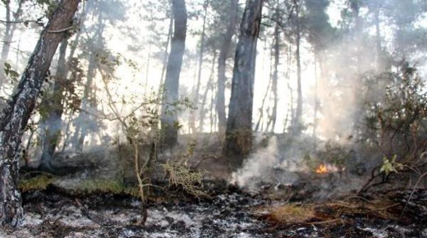 Bolu'daki Orman Yangını S&ouml;nd&uuml;r&uuml;ld&uuml;