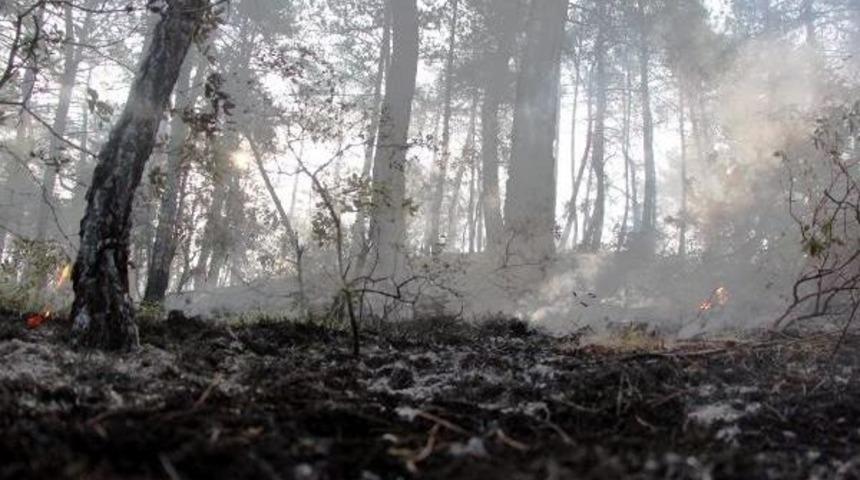 Orman Yangınında Soğutma &Ccedil;alışmaları Yağmur Etkisi