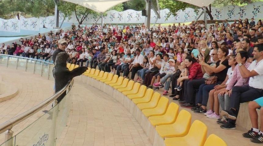 Fok G&ouml;sterisi Yoğun İlgi G&ouml;r&uuml;yor