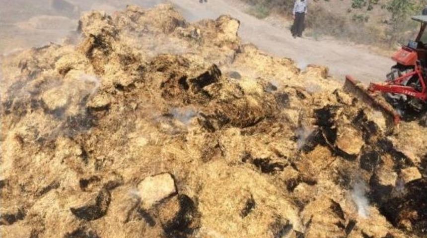 Kepsut&rsquo;ta 450 Balya Saman Yandı