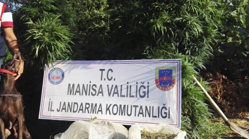 Bağ Evine Uyuşturucu Operasyonu