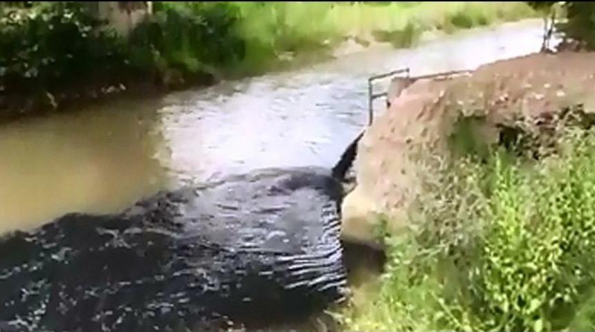 Mudurnu Deresi&rsquo;ne Atılan Atıklar Dereyi Siyaha B&uuml;r&uuml;d&uuml;