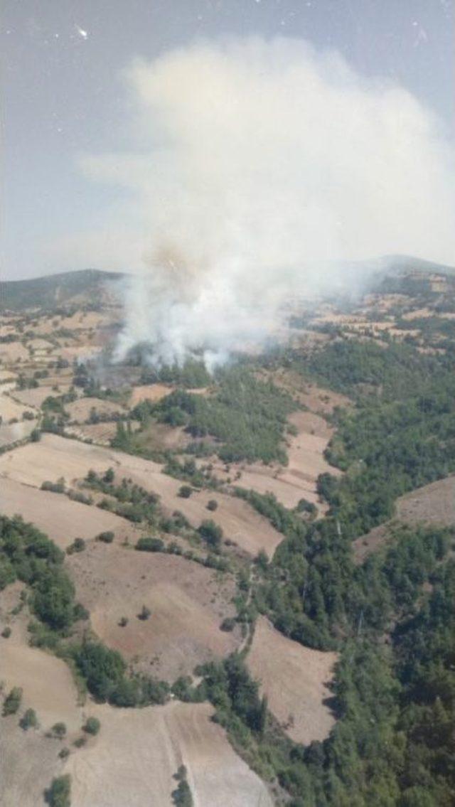 Kepsut’ta Orman Yangını 1