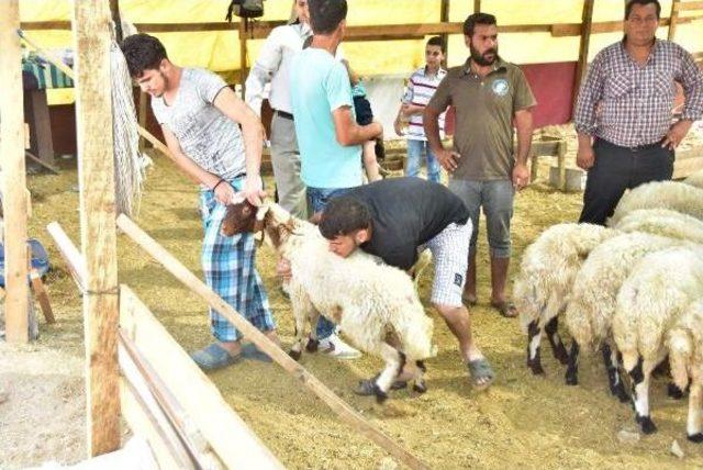 Kurban Pazarları Boşaldı, Temizlik Başladı