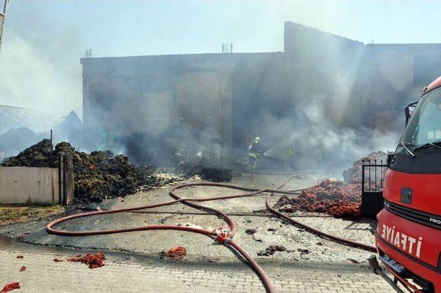 Uşak’ta Fabrika Yangını