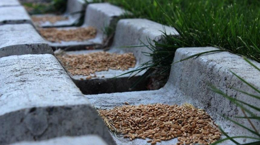 İnsanlar Hayvanlara Duyarsız Kalmadı