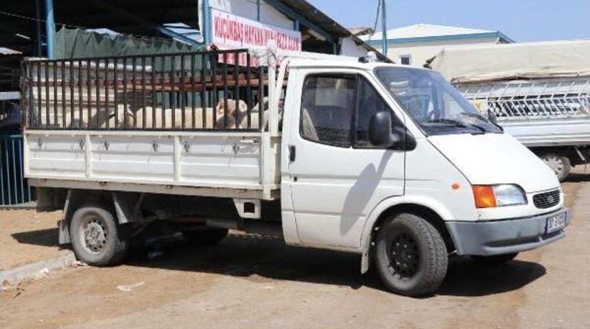 Kurban Satıcıları: Denizli Horozu Kurbanlıktan Pahalı Hale Geldi