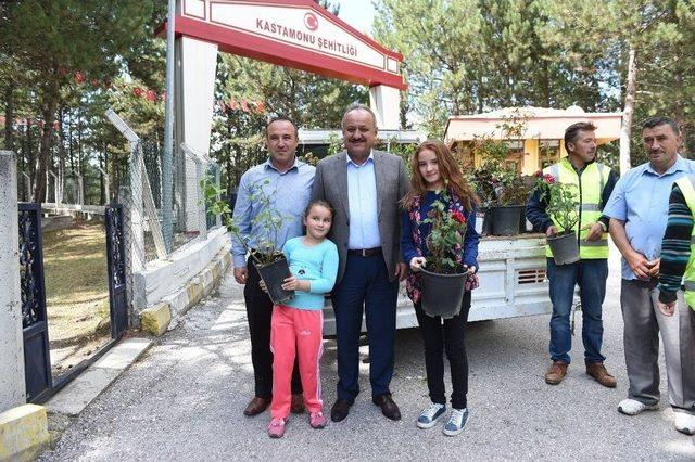 Kastamonu Belediyesi, 3 Bin 500 Gül Fidesi Dağıttı