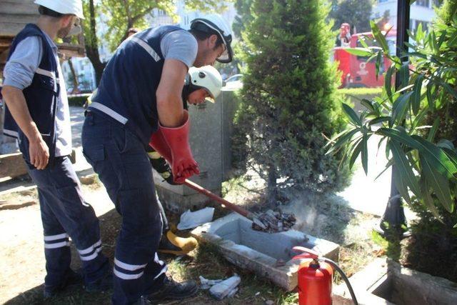 Sorumsuzluk Faciaya Yol Açıyordu