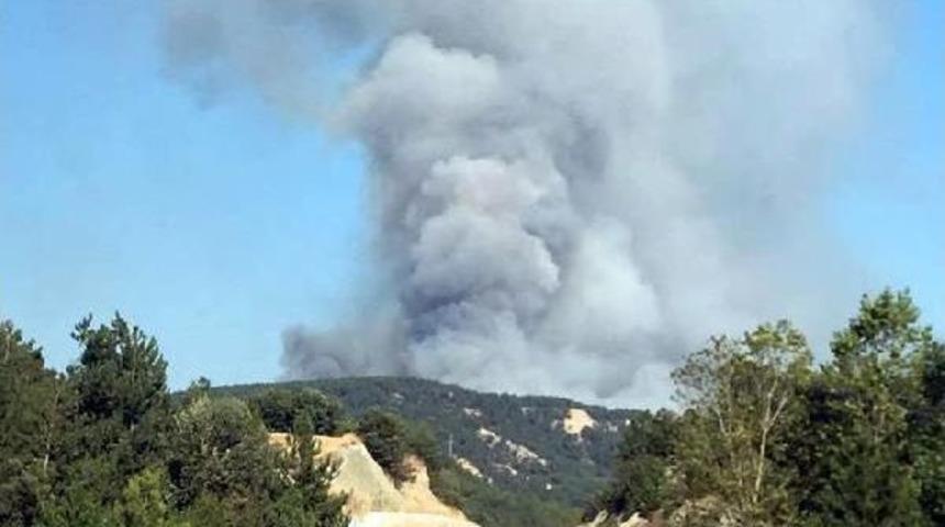Bolu'daki Orman Yangını S&ouml;nd&uuml;r&uuml;ld&uuml; (2)