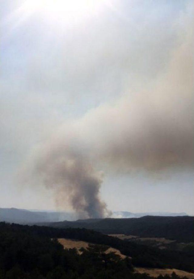 Bolu'daki Orman Yangını Söndürüldü (2)