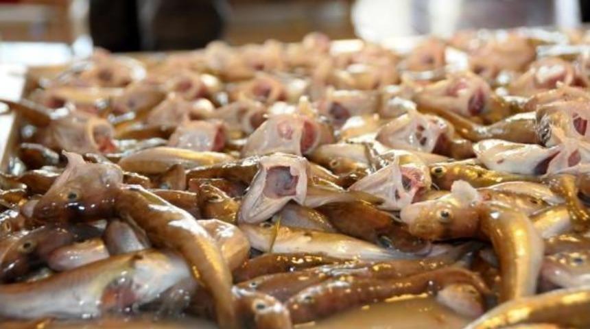 Zonguldak&rsquo;Ta Sezonun Ilk Balıkları Tezgahta