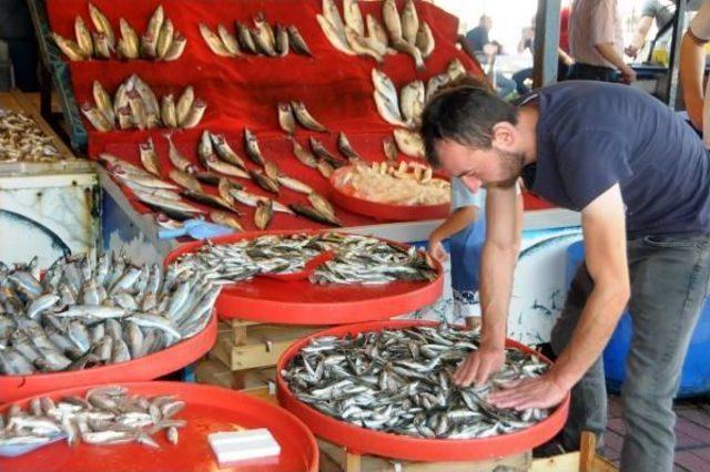 Zonguldak’Ta Sezonun Ilk Balıkları Tezgahta