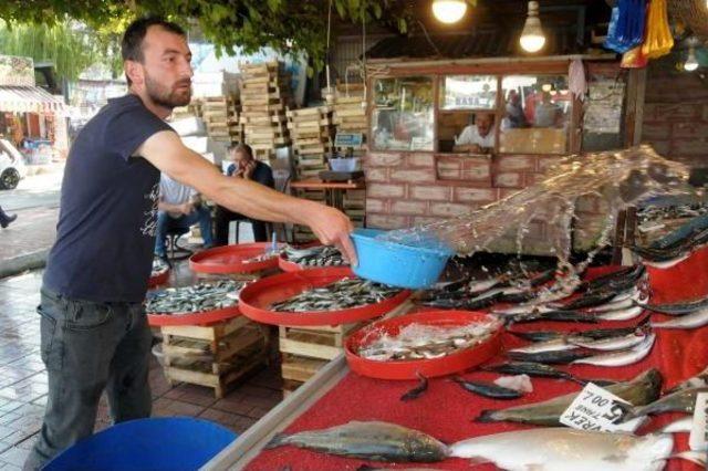 Zonguldak’Ta Sezonun Ilk Balıkları Tezgahta