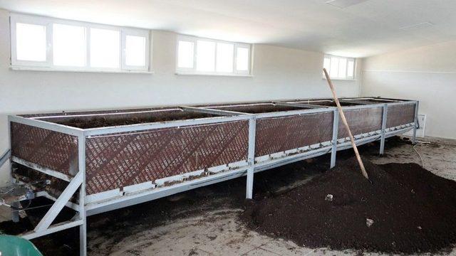 Odunpazarı Belediyesi Solucan G&uuml;bresi &Uuml;retiyor 1