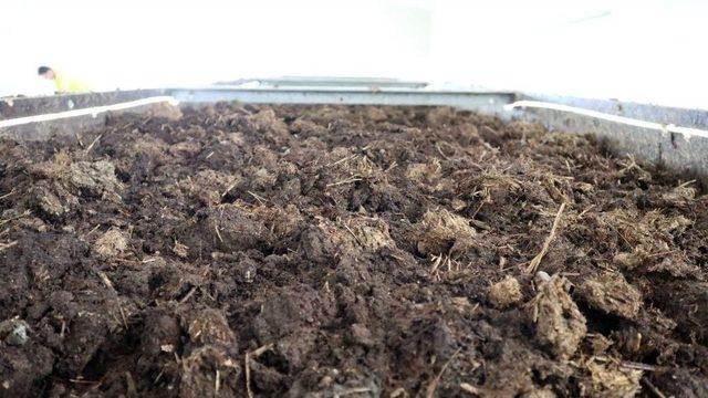 Odunpazarı Belediyesi Solucan G&uuml;bresi &Uuml;retiyor 2