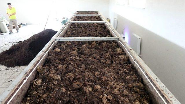 Odunpazarı Belediyesi Solucan G&uuml;bresi &Uuml;retiyor 3