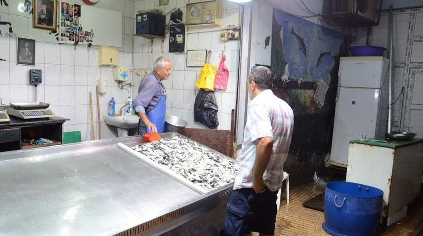 Av Yasağı Kalktı, Balıklar Tezgahlarda Yerini Aldı