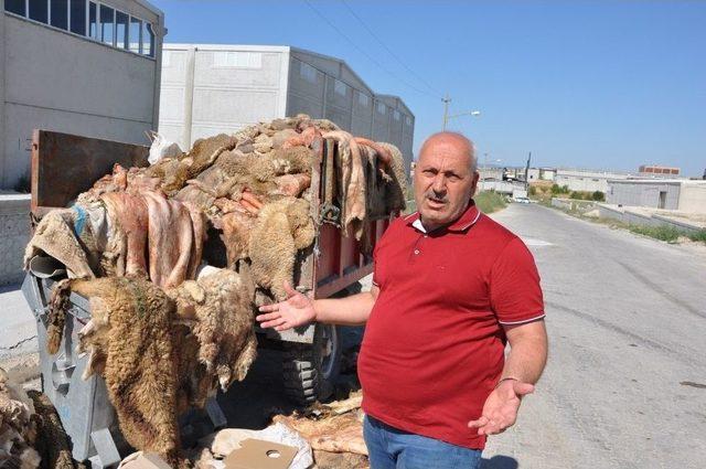 Kromlu Deri İhracatına Getirilen Fona Dericilerden Tepki