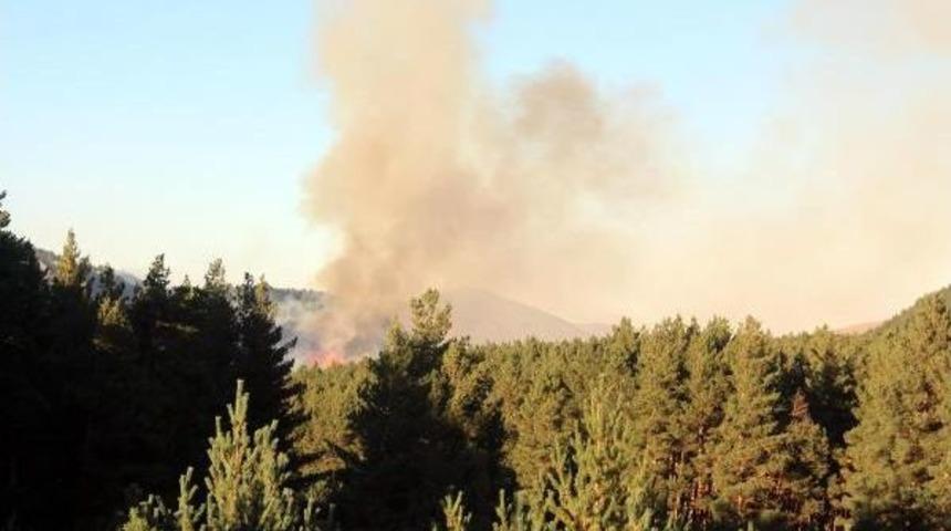 Ardahan&rsquo;Da Orman Yangını