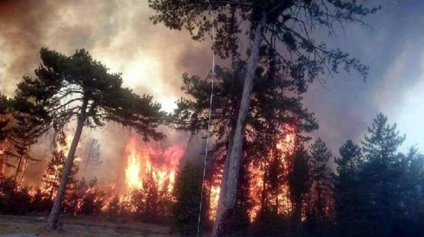 Bolu'daki Orman Yangını S&ouml;nd&uuml;r&uuml;ld&uuml; (3)