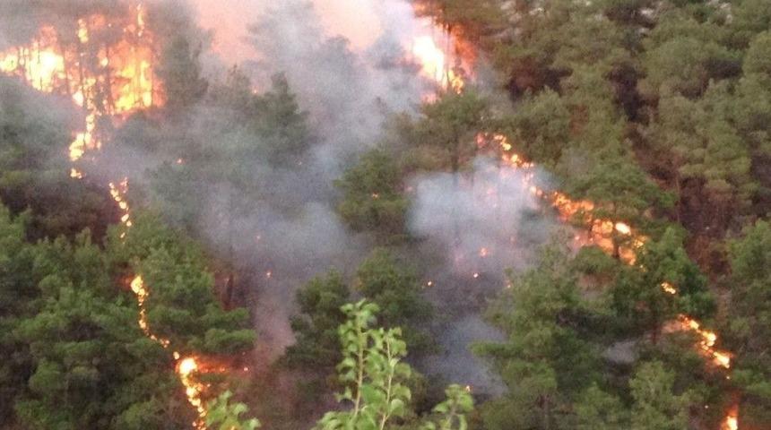 Tokat&rsquo;ta Orman Yangını