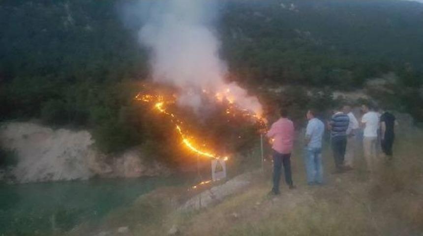 Tokat&rsquo;Ta Orman Yangını