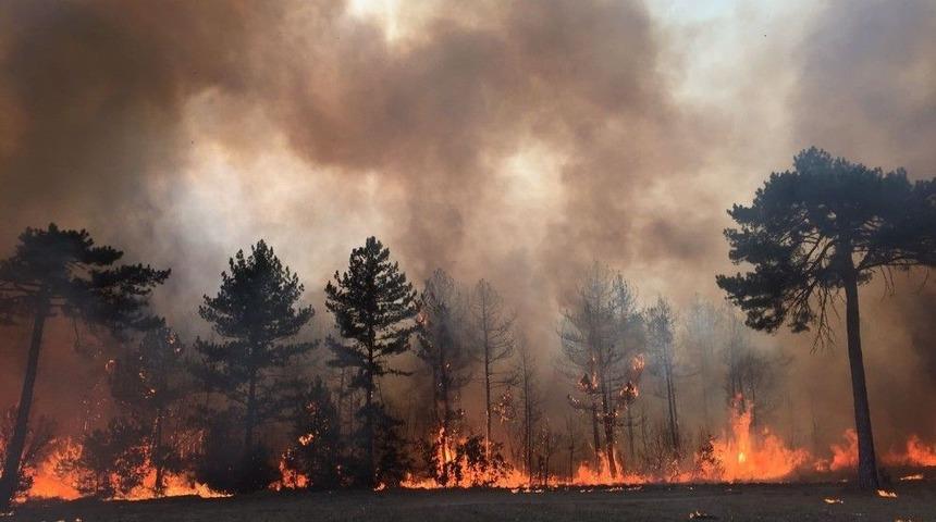 Vali Baruş Yangın B&ouml;lgesinde İncelemelerde Bulundu
