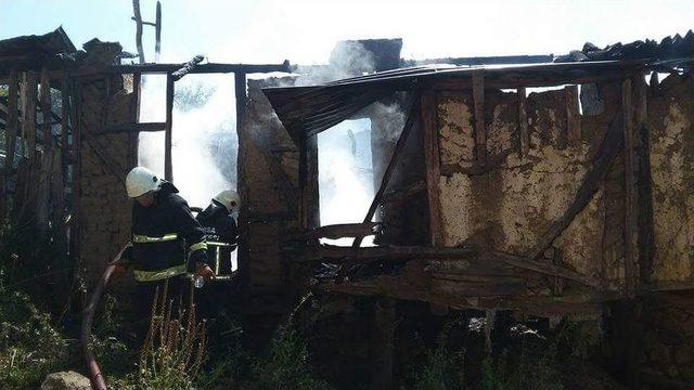 İki Büyükbaş Hayvan Yanmaktan Son Anda Kurtarıldı.