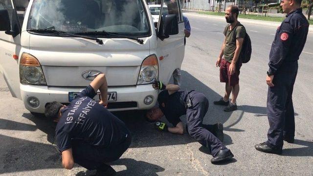 (özel Haber) İtfaiyeden Kamyonetin Motoruna Sıkışan Kediyi Kurtarmak İçin Akıllı Yöntem