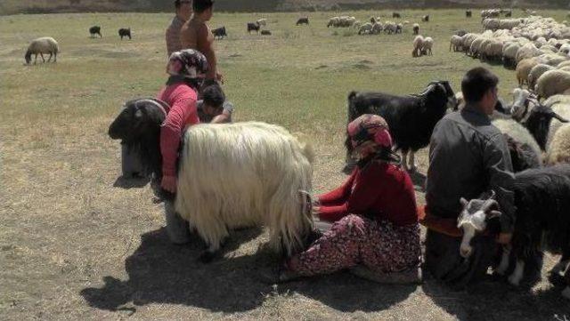 Keşli Ailesinin 7 Çocuğunun Da Dişleri Yok