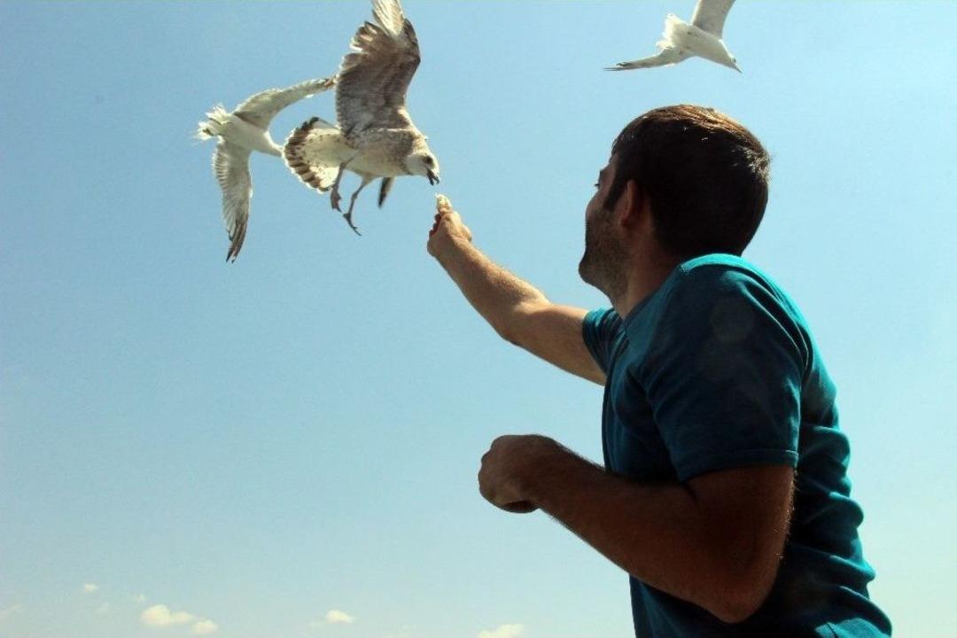 Deniz Yolculuğunu Aratmayan Baraj