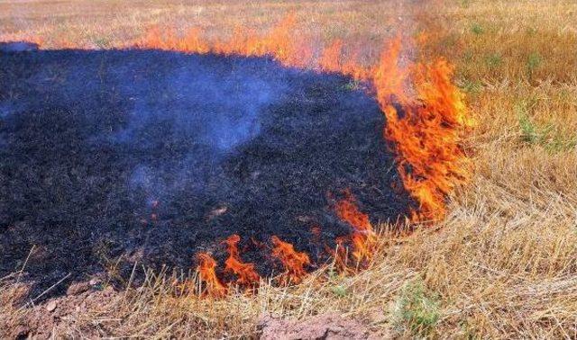 'anız Yakan Çiftçiye Tarımsal Destek Primi Ödenmemesin'