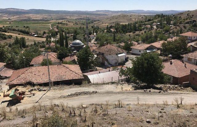 Türkiye’nin Tek Güreş Kulübüne Sahip Köyü